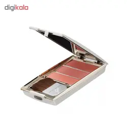 پالت رژگونه جیو مدل catalinageo شماره 8