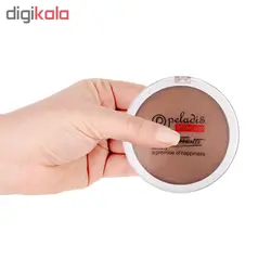 رژگونه پارس پلادیس مدل Promise شماره 105