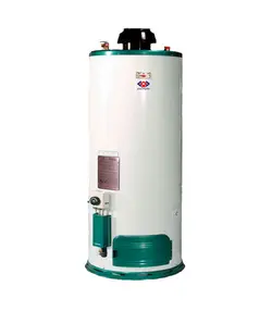 آبگرمکن گازی مخزن دار سایوا گستر 10.5 مدل ارغوان