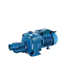 پمپ پنتاکس 3 اسب بخار بشقابی مدل CMT-310/00