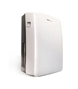 کولر گازی هایسنس پرتابل 12000 سرد و گرم مدل HPH-12F