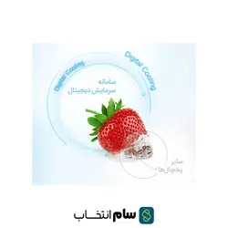 یخچال فریزر ساید بای ساید دوو مدل D2S-3133SS