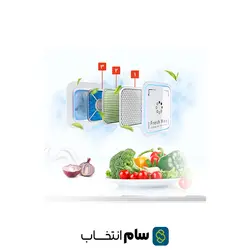 یخچال فریزر ساید بای ساید دوو مدل D2S-3133SS