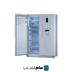 یخچال فریزر دوقلو دیپوینت مدل D5i-S