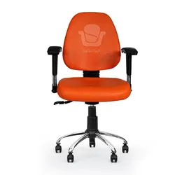 صندلی آزمایشگاهی D504F