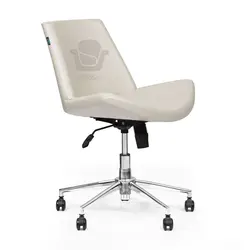 صندلی آزمایشگاهی D205