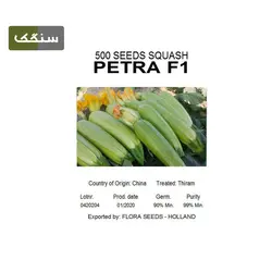 بذر کدو پترا F1 - کشاورزی سنگک شاپ