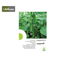 بذر خیار خسیب (هيبريد، F1) - کشاورزی سنگک شاپ