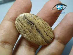 سنگ جاسپر منظره بیضی 7.6 گرم