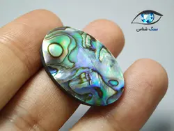 صدف آبالون بیضی 4.7 گرم