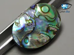 صدف آبالون بیضی 4.7 گرم