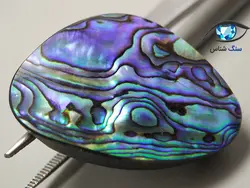 صدف آبالون رنگین کمانی درشت 16.4 گرم