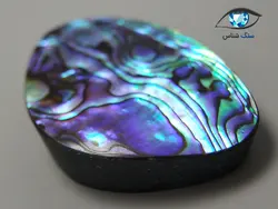 صدف آبالون رنگین کمانی درشت 16.4 گرم