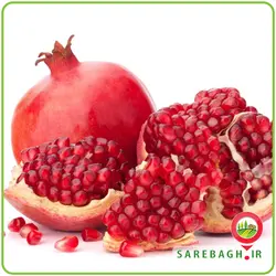 انار