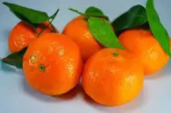 نارنگی کینو جنوب