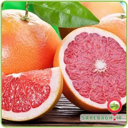گریپ فروت تو سرخ