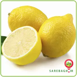 لیمو ترش سنگی