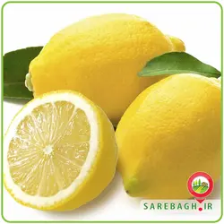 لیمو شیرین
