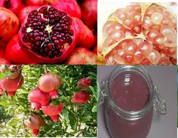 رب انار کاملاً سنتی - یک کیلو