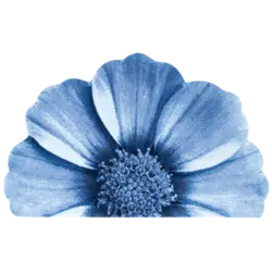 پادری سه بعدی زرباف طرح گلپر