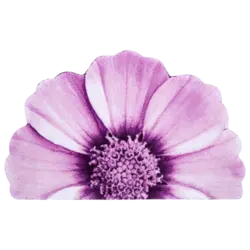 پادری سه بعدی زرباف طرح گلپر