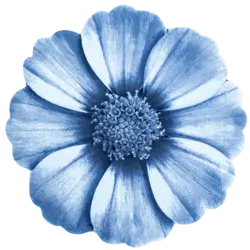 فرش سه بعدی زرباف طرح گلپر رنگ آبی