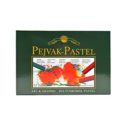 پاستل گچی 12 رنگ پژواک | فروشگاه سایه روشن