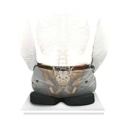 زیر نشیمنی طبی باراد مدل SC1