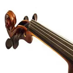 ویولن فونیکس PHOENIX VP101 - سازکالا