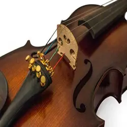 ویولن فونیکس PHOENIX VP101 - سازکالا