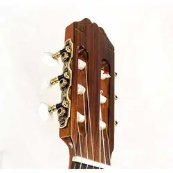 ARIA AC50 C | گیتار کلاسیک آریا - سازکالا