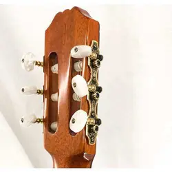 ARIA AC50 C | گیتار کلاسیک آریا - سازکالا