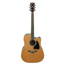 گیتار آکوستیک Ibanez AW370 NT