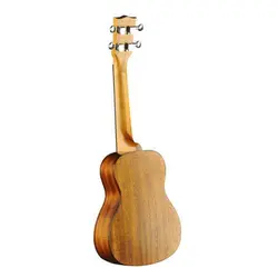 یوکللی EKO EVO Ukulele Concert Cedar - سازکالا