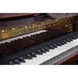 پیانو طرح آکوستیک Roland RP 102
