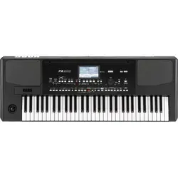 ارنجر کرگ Korg PA300