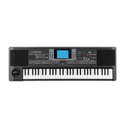 ارنجر کرگ Korg PA300