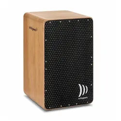 کاخن Schlagwerk مدل CP5901