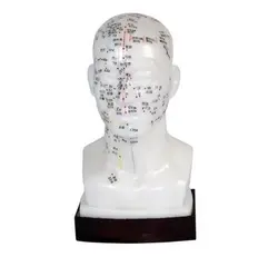 مولاژ طب سوزنی سر