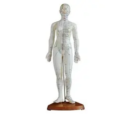 مولاژ طب سوزنی زن