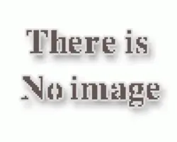 تخت ماساژ چوبی پرتابل M013 Piltan