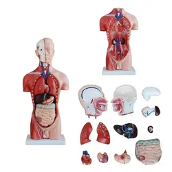 مولاژ نیم تنه 13 قسمتی 1/2