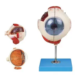 مولاژ چشم 2 قسمتی