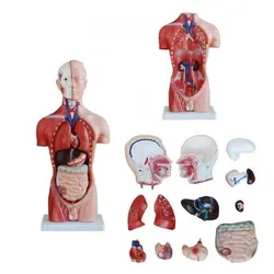 مولاژ نیم تنه 13 قسمتی