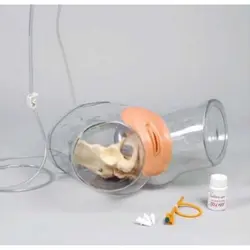 مولاژ شفاف سوند گذاری زنان