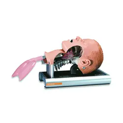 مولاژ سیستم آموزش مدیریت عملکرد دستگاه تنفس Ambu