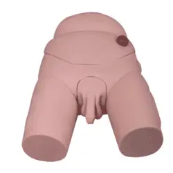 مولاژ مدل کامل مجاری ادراری آقایان