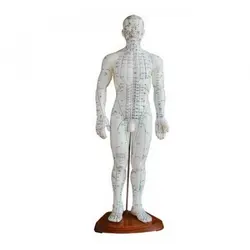 مولاژ طب سوزنی مرد