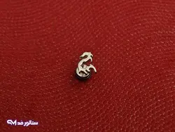 پیرسینگ گوش مدل اژدها PI9044 | فروشگاه اکسسوری سناتور مد