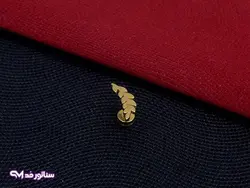 پیرسینگ گوش برگ سناتورمد PI9027 | فروشگاه سناتور مد